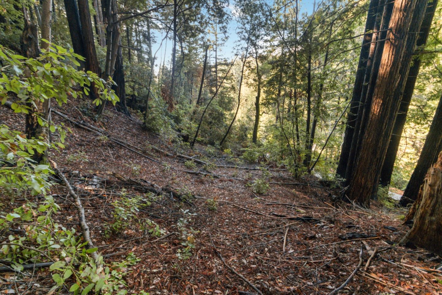 Lot 321-06 Glenwood DR
