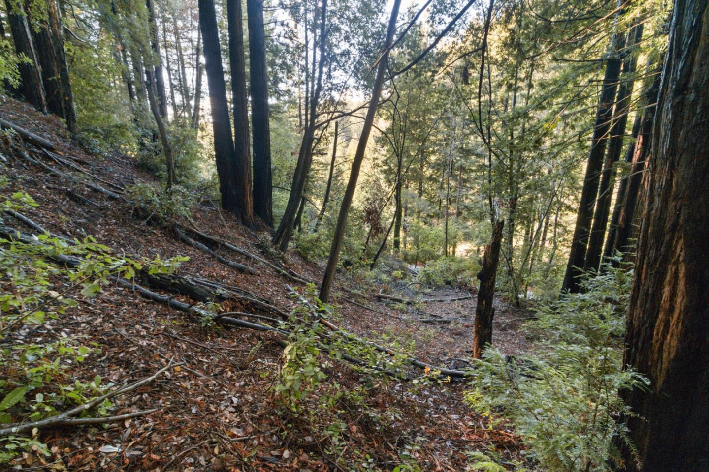 Lot 321-06 Glenwood DR