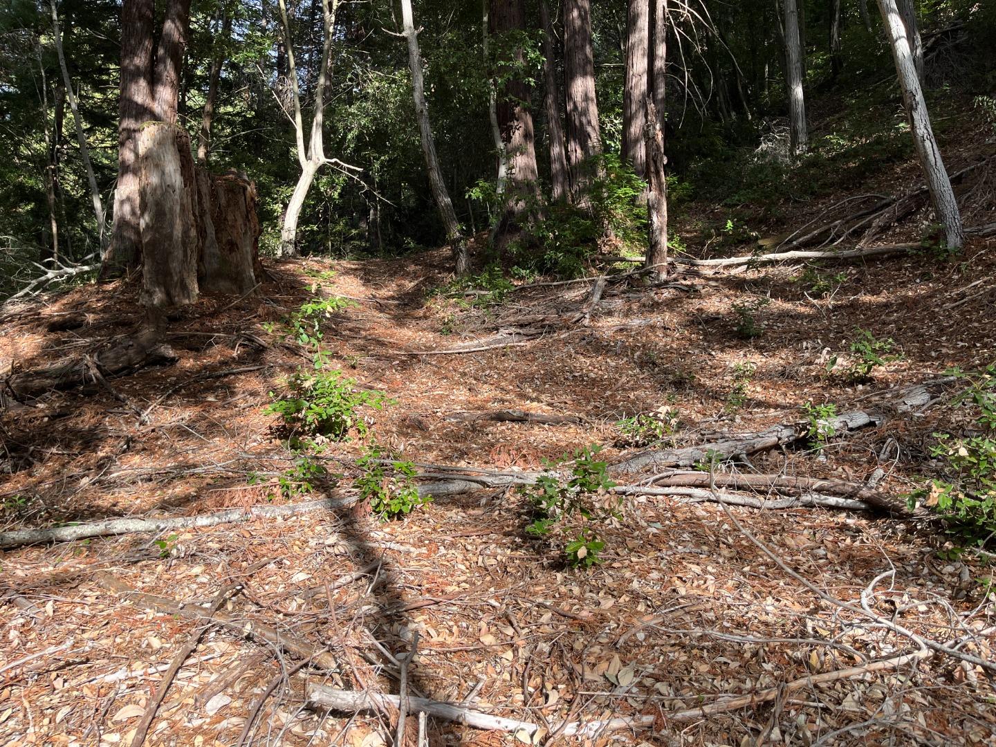 Lot 321-06 Glenwood DR