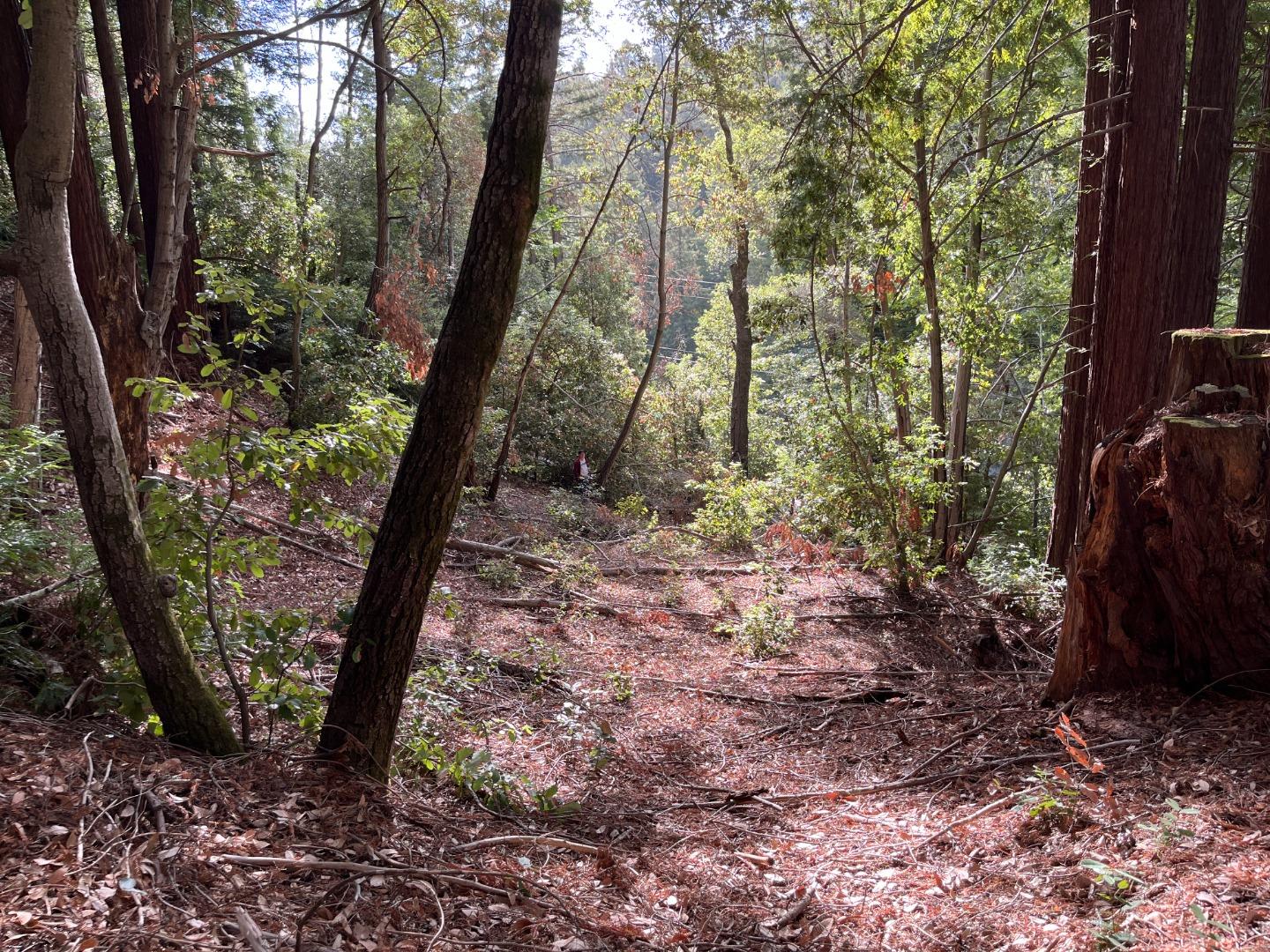 Lot 321-06 Glenwood DR