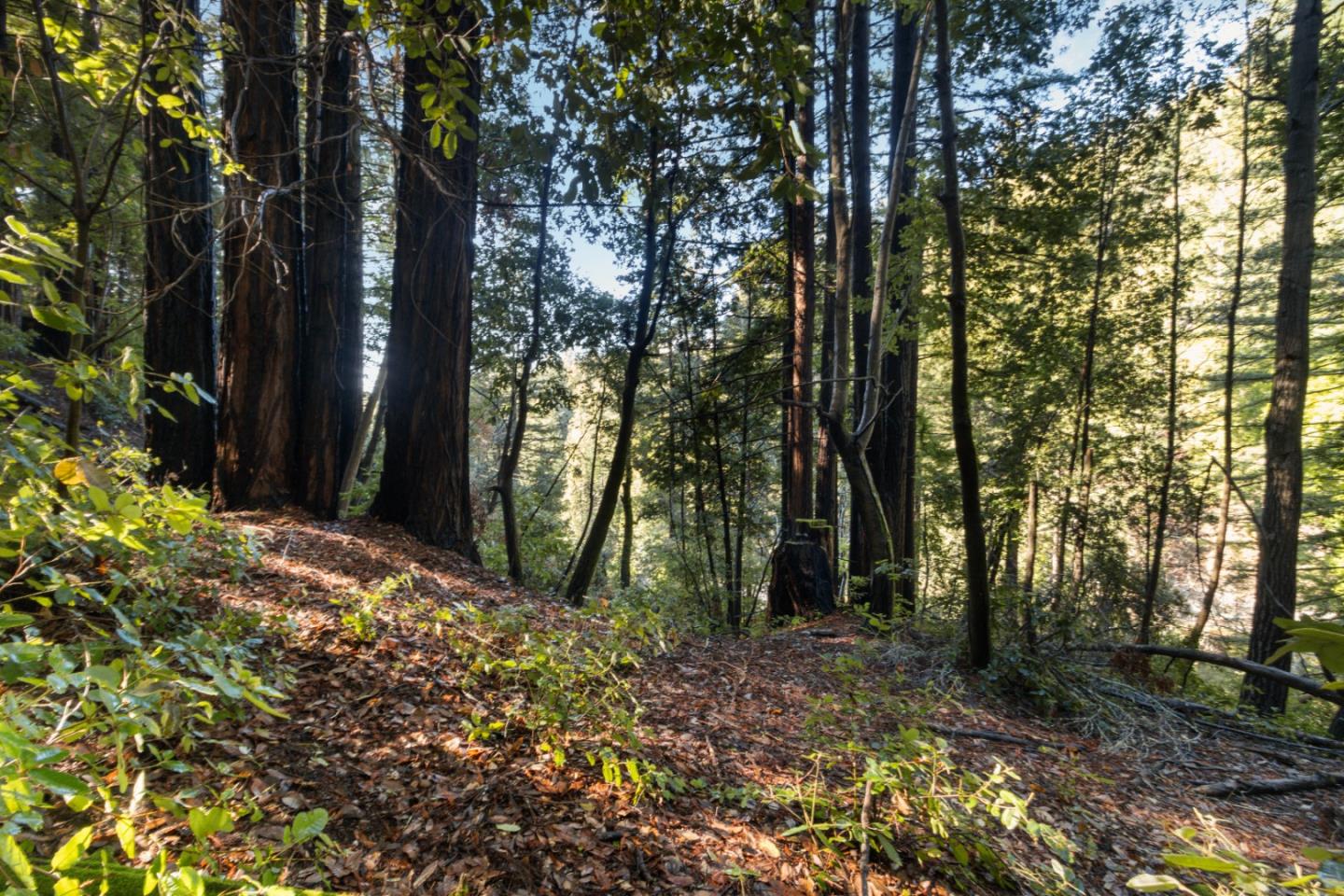 Lot 321-06 Glenwood DR