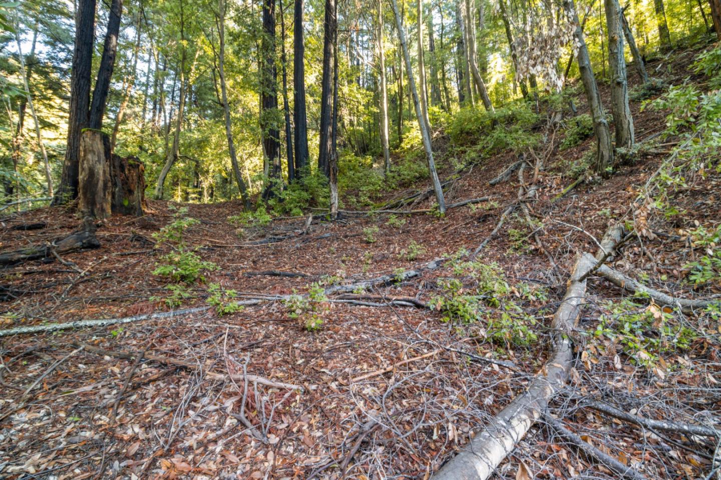 Lot 321-06 Glenwood DR