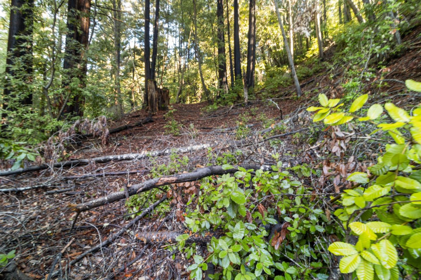 Lot 321-06 Glenwood DR