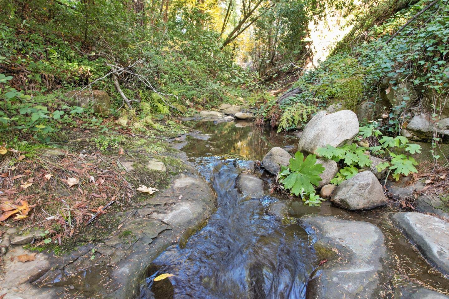 9999 Love Creek RD