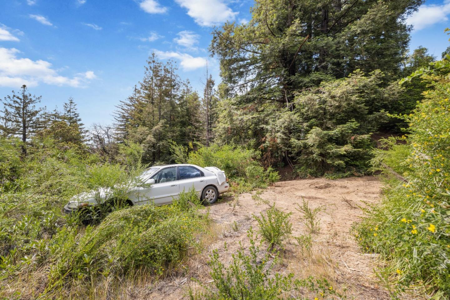 APN 12 Bear Canyon Road