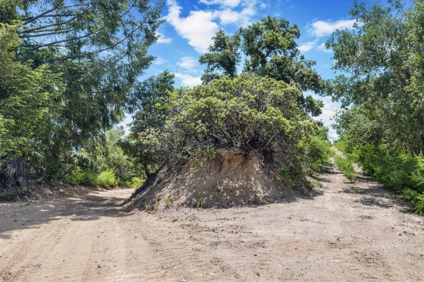 APN 12 Bear Canyon Road