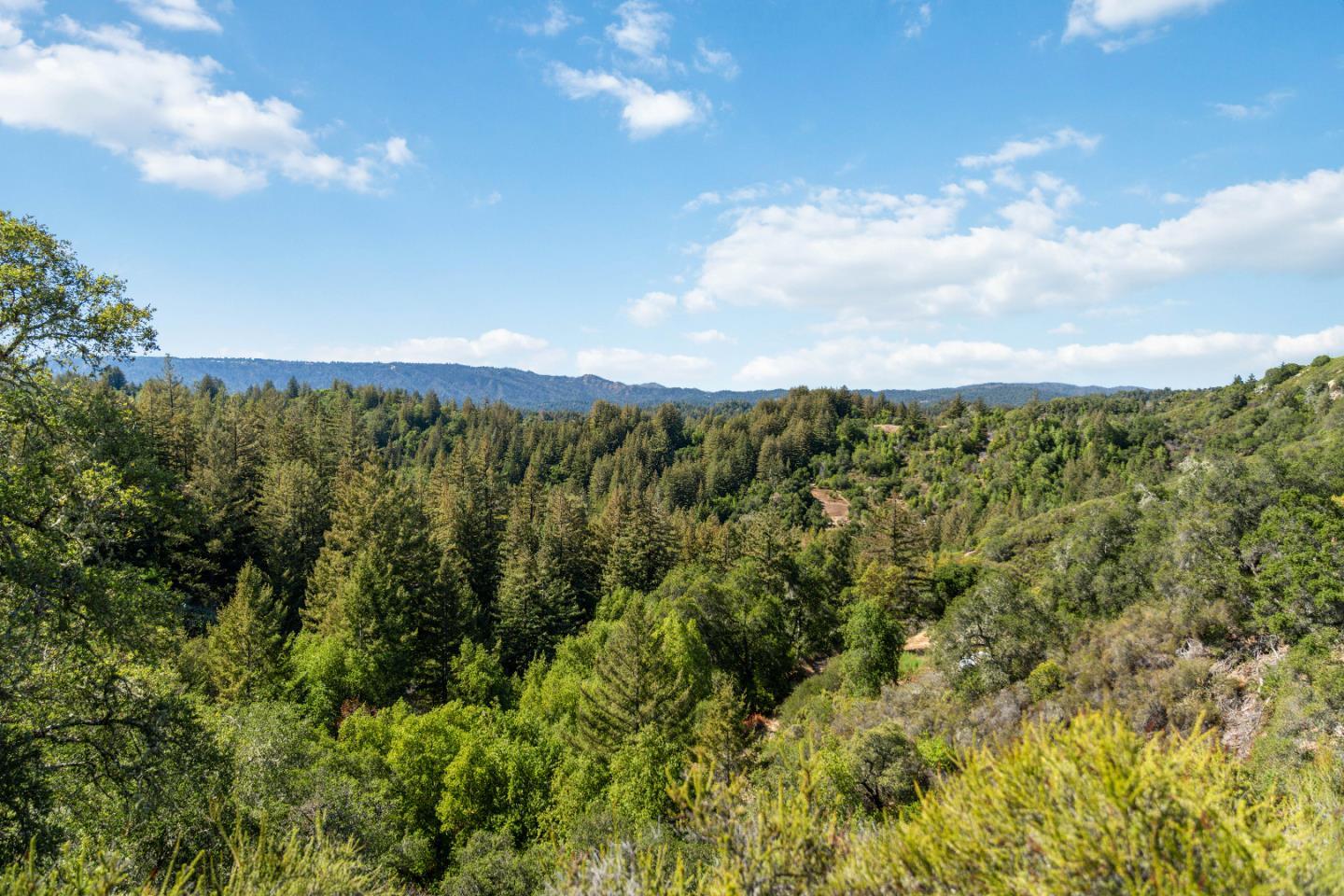 APN 12 Bear Canyon Road