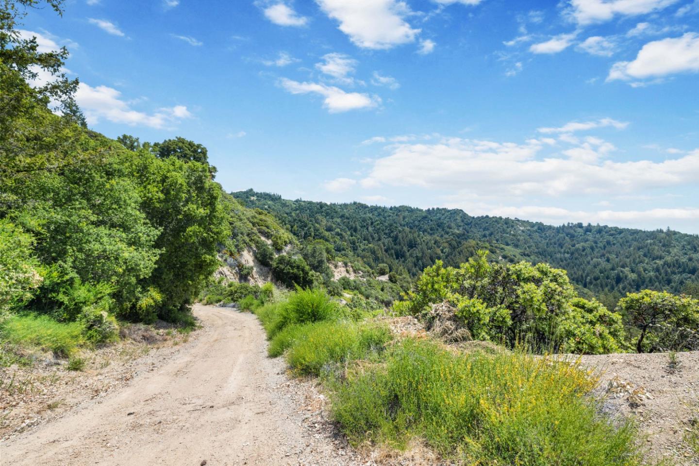 APN 12 Bear Canyon Road