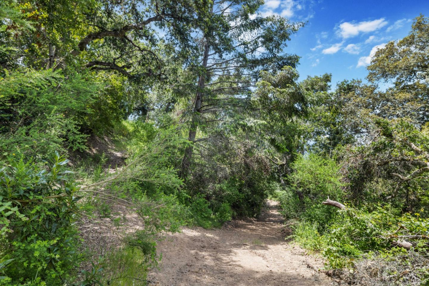 APN 12 Bear Canyon Road