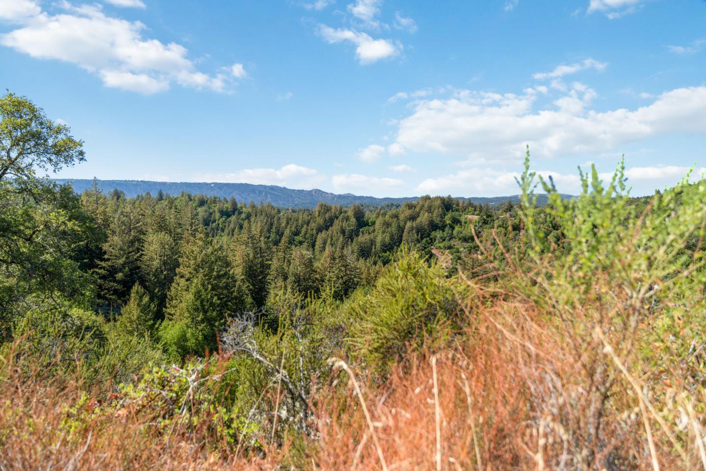 APN 12 Bear Canyon Road