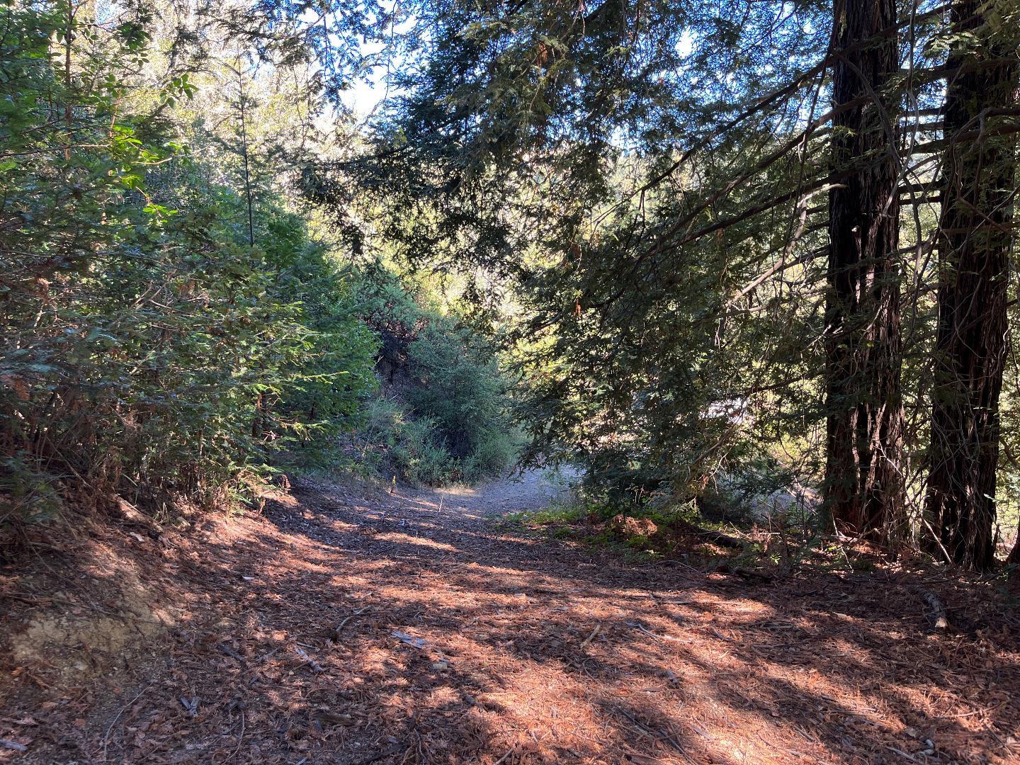 APN 12 Bear Canyon Road