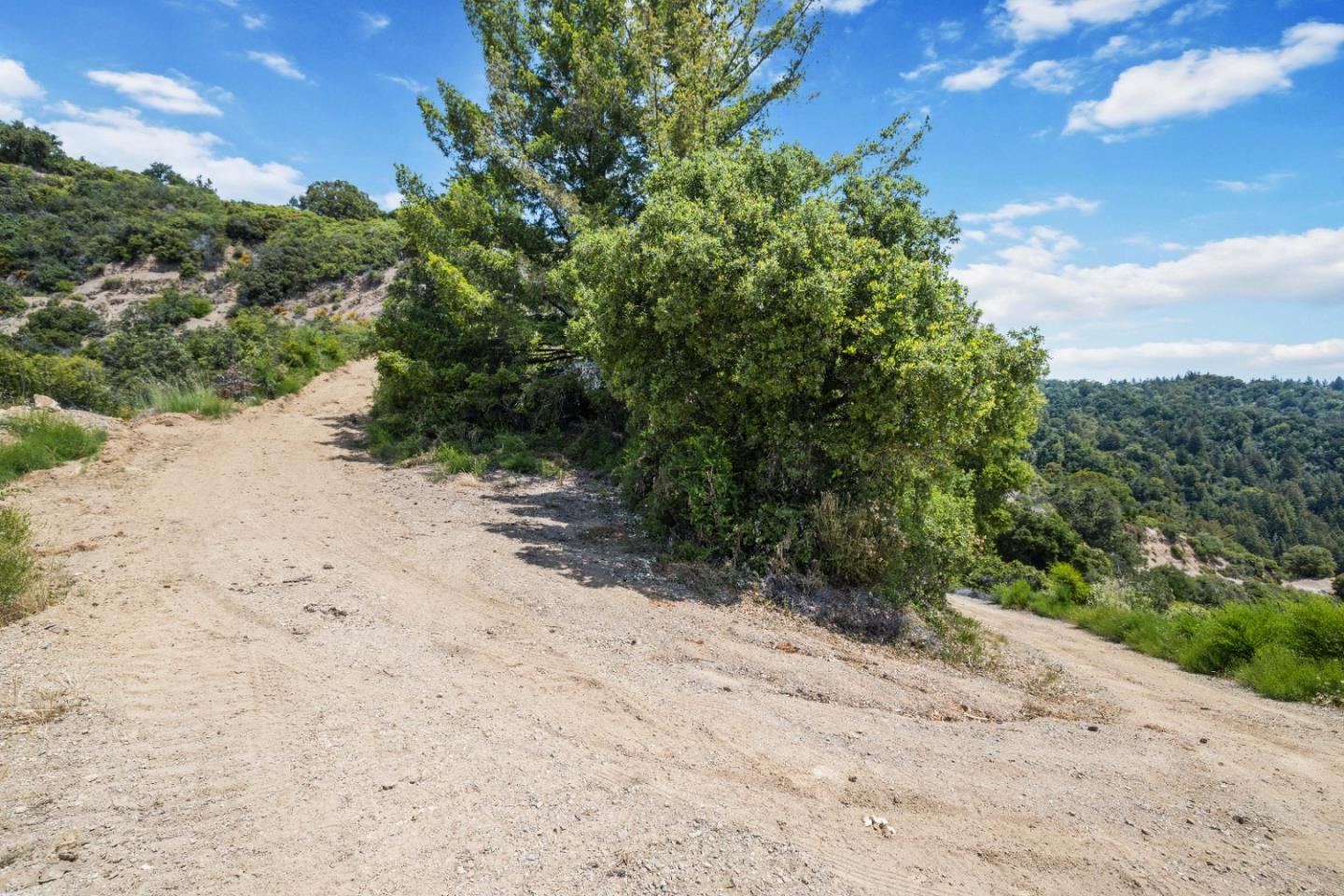 APN 12 Bear Canyon Road