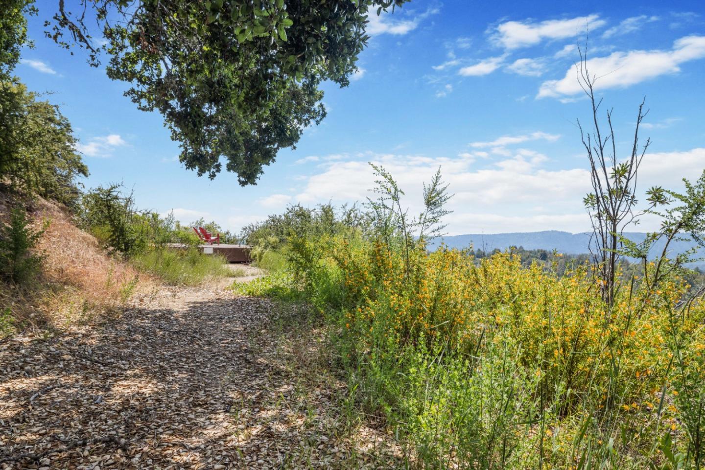 APN 12 Bear Canyon Road