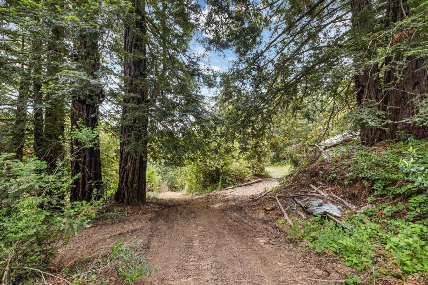 APN 12 Bear Canyon Road