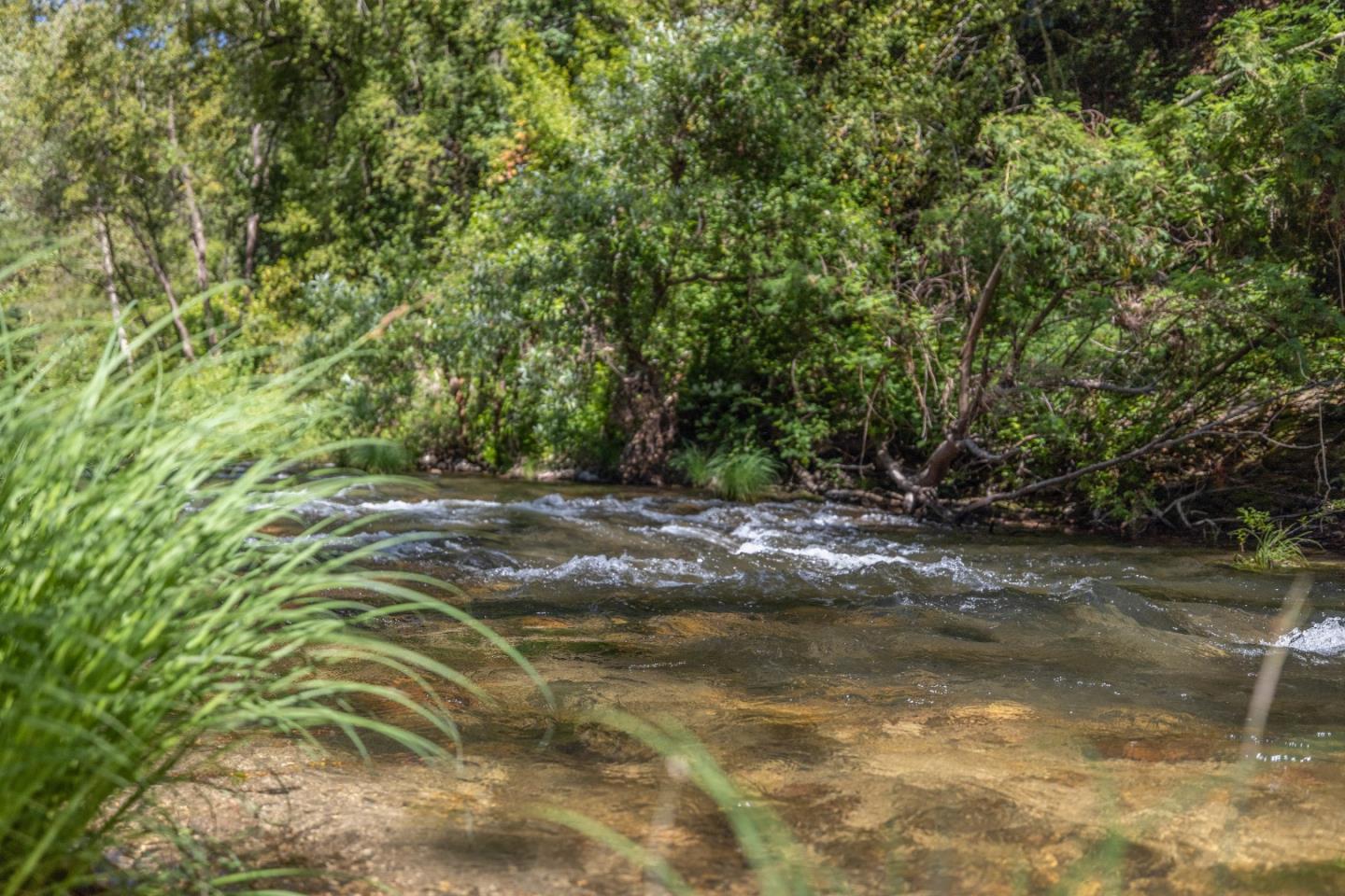 175 Shadowbrook Road