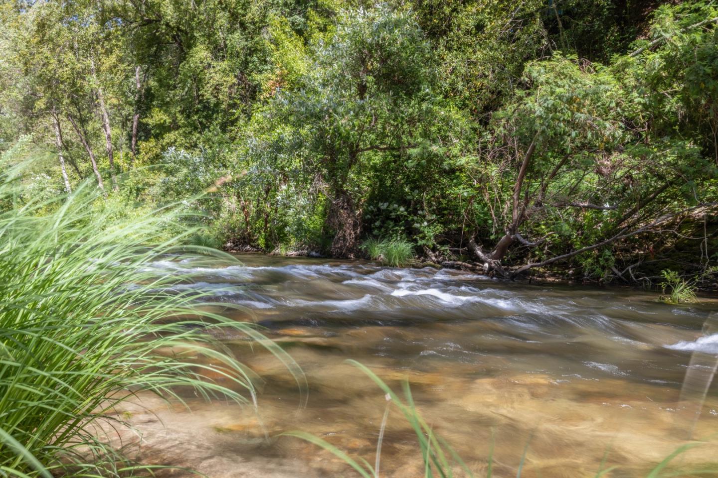 175 Shadowbrook Road