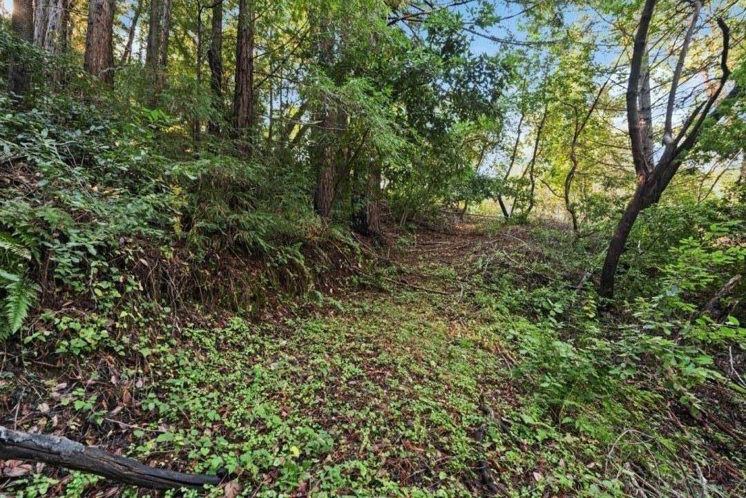 Lot 50 Middle Ellen Road