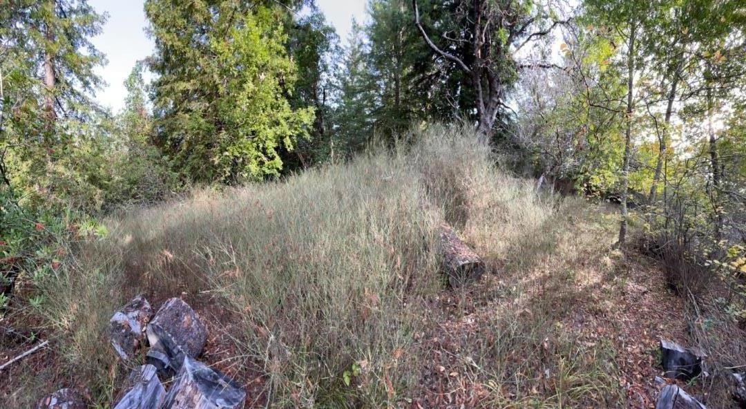 Lot 50 Middle Ellen Road