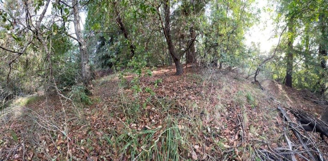 Lot 50 Middle Ellen Road