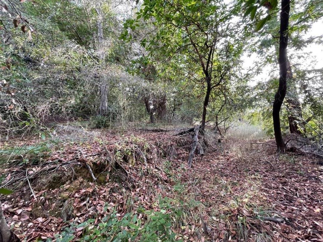 Lot 50 Middle Ellen Road