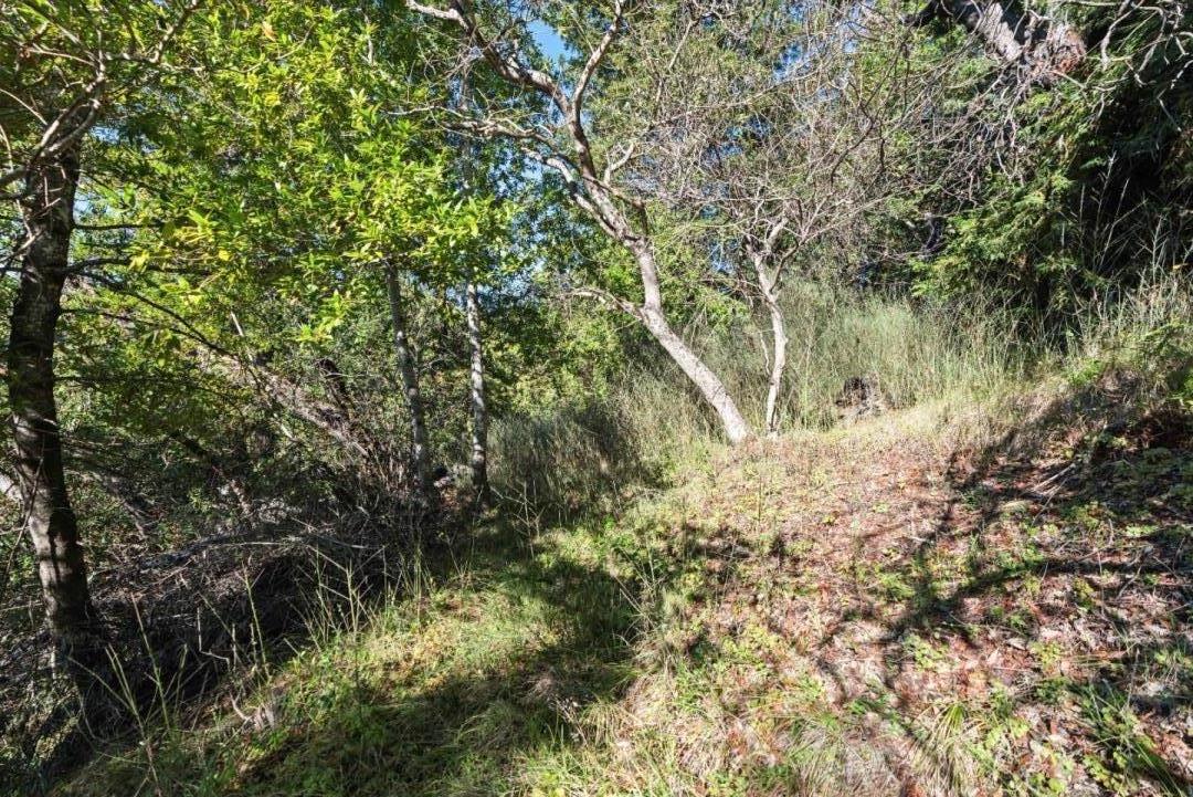 Lot 50 Middle Ellen Road