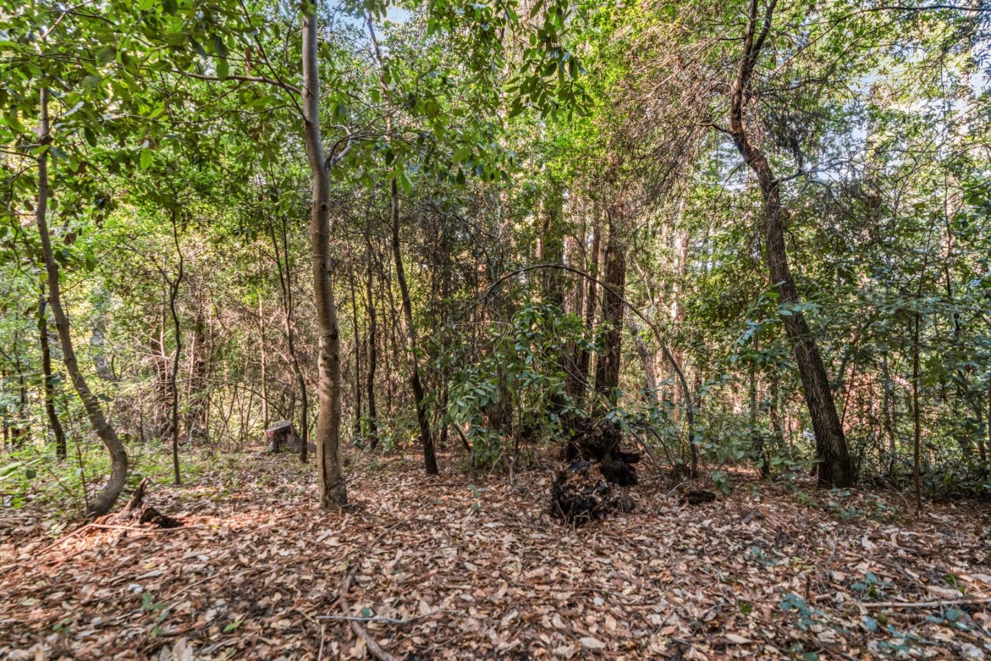 Lot 21 and 22 Idlewild ST