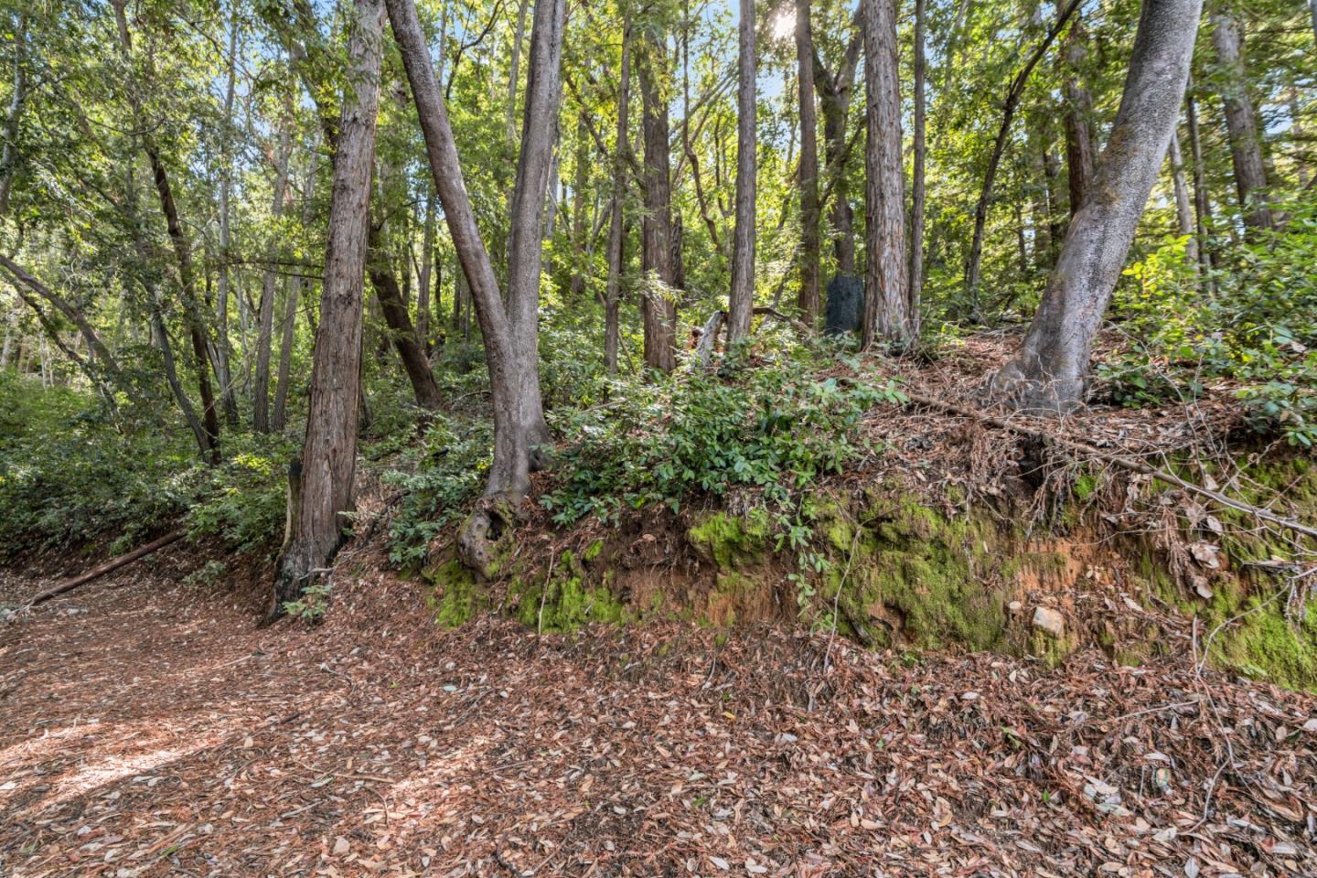 Lot 15 Madrone AVE