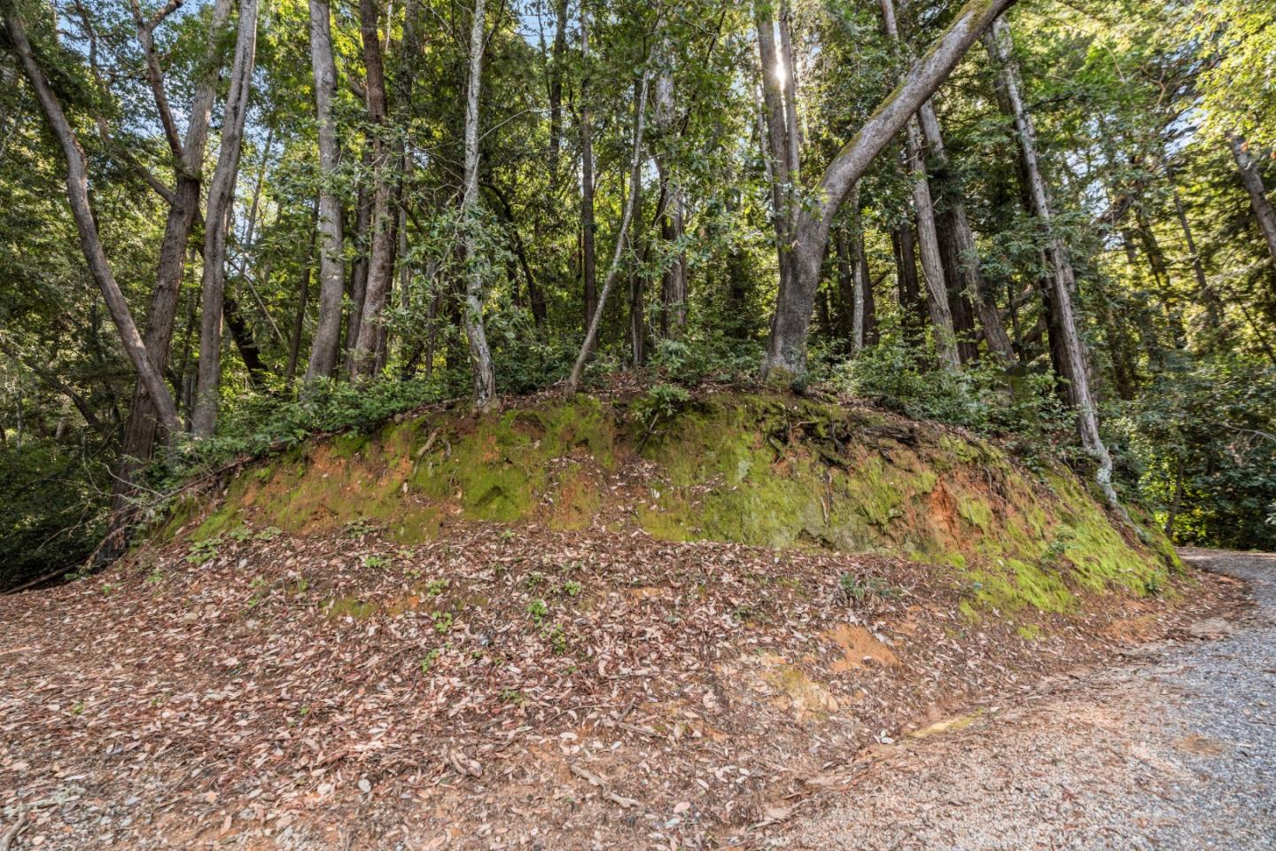 Lot 15 Madrone AVE
