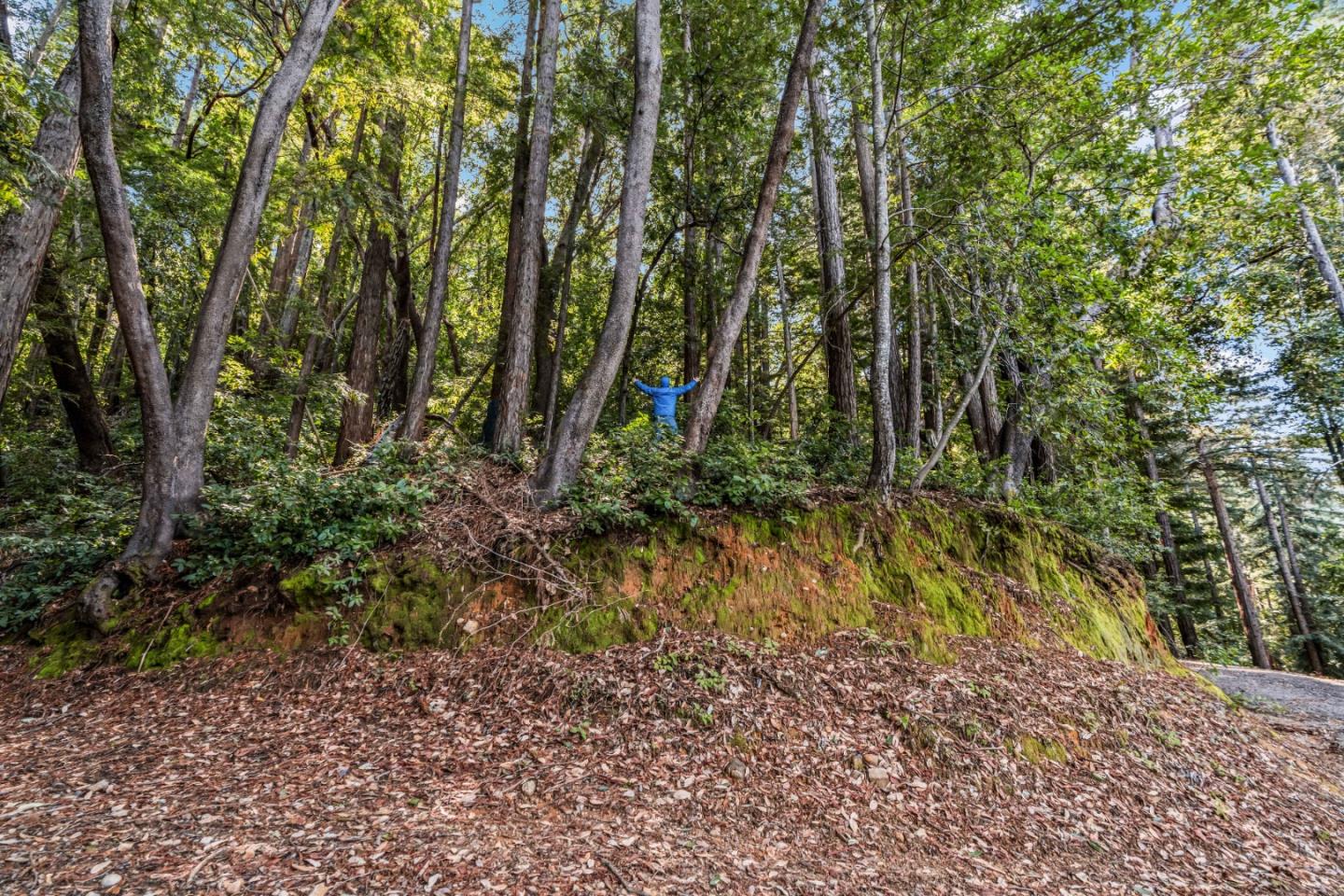 Lot 15 Madrone AVE