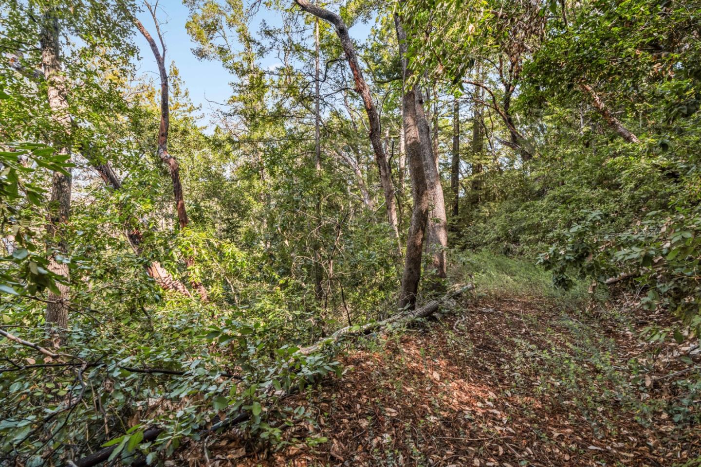Lot 33 Madrone AVE