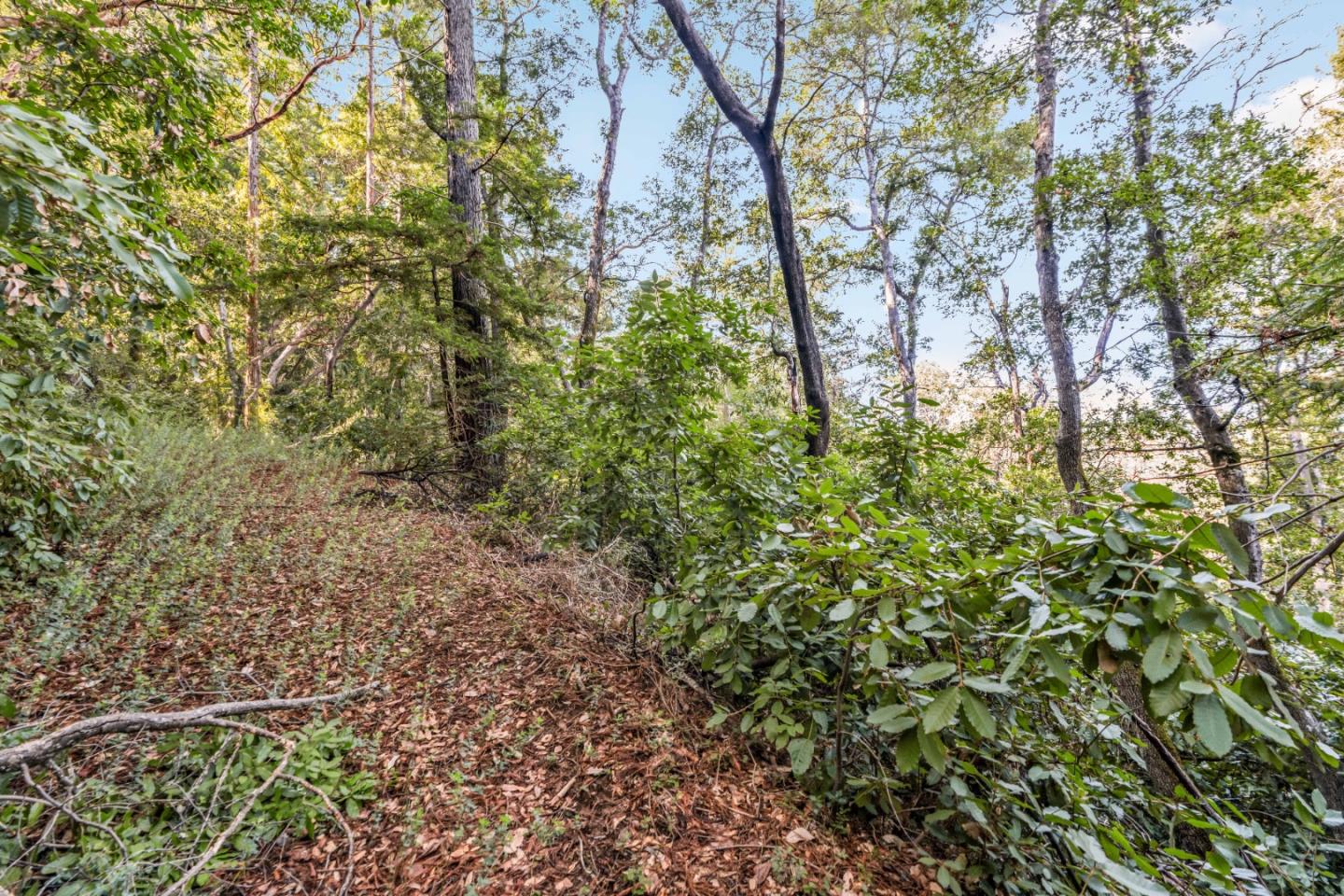 Lot 33 Madrone AVE