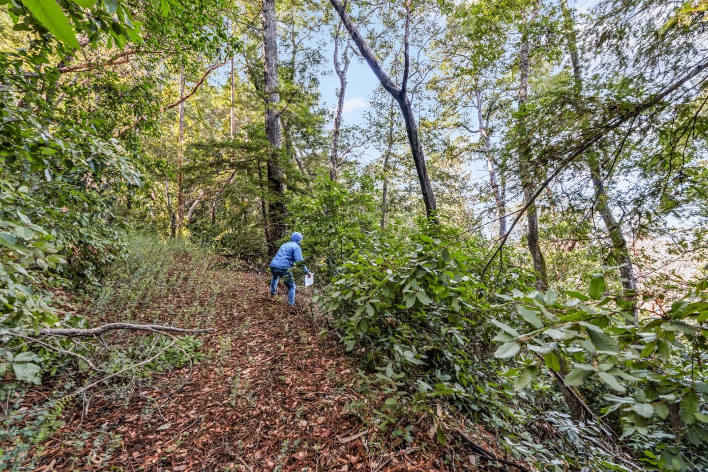 Lot 33 Madrone AVE