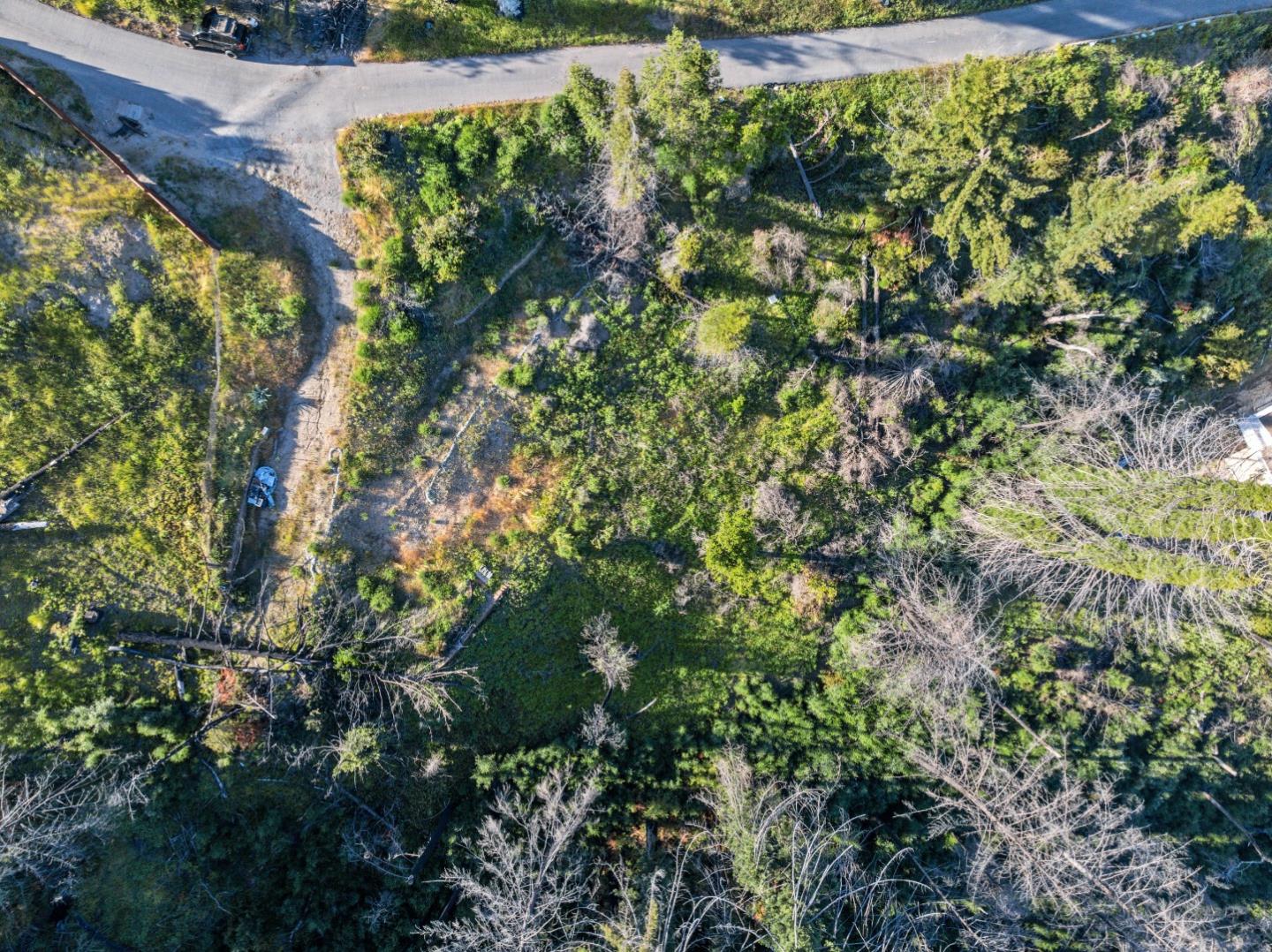 1410 Pinecrest DR