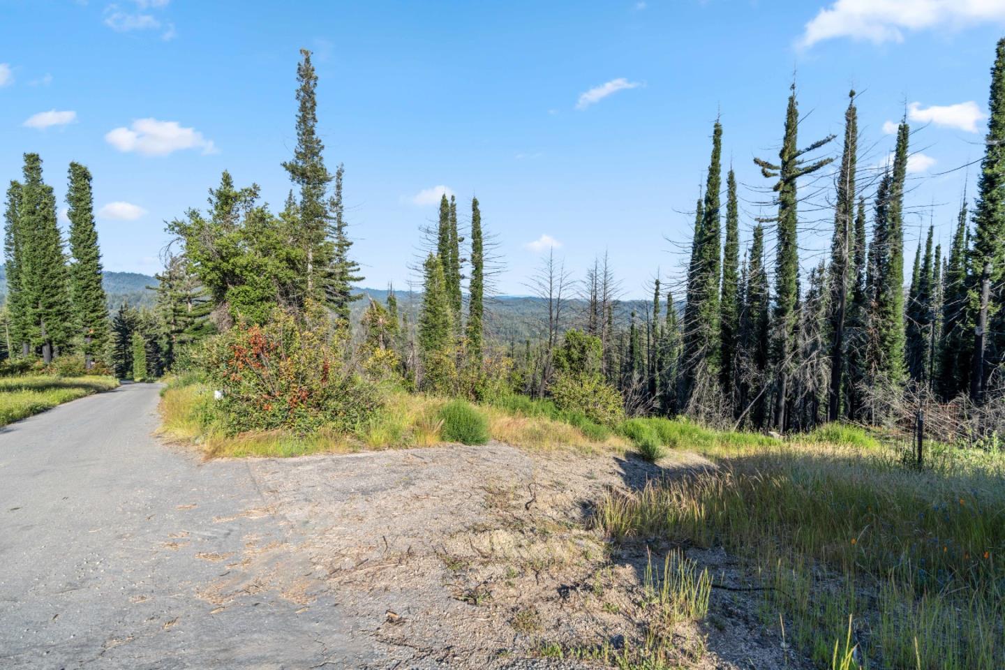 1410 Pinecrest DR
