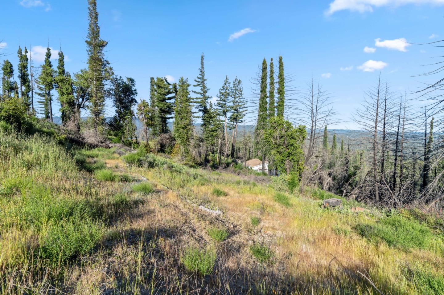 1410 Pinecrest DR