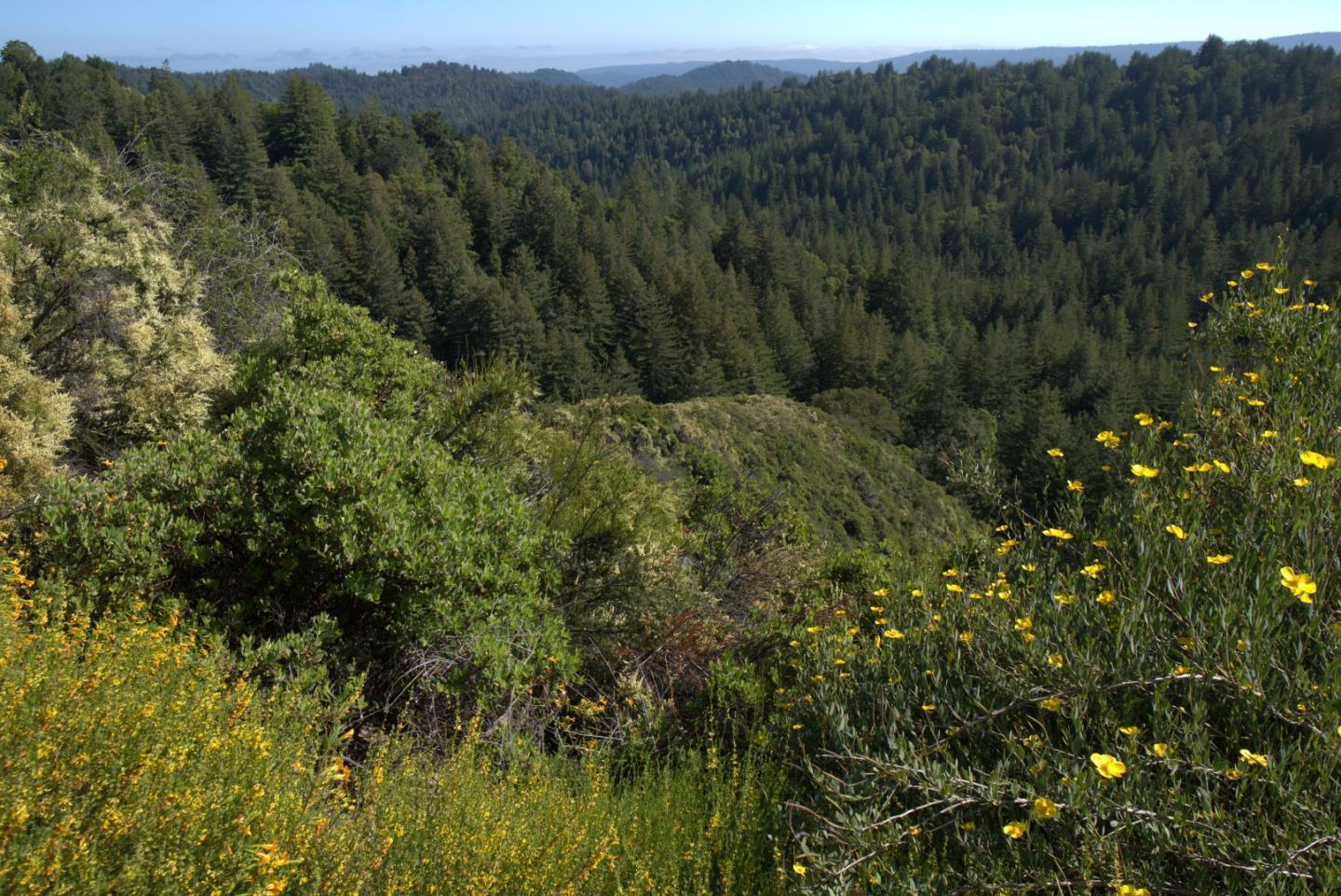 N/A Lot 11 Bear Creek Road