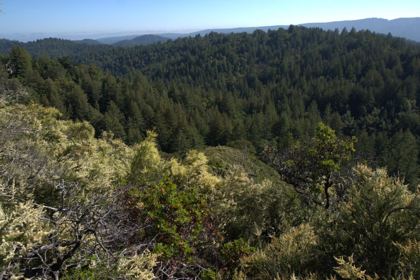 N/A Lot 11 Bear Creek Road