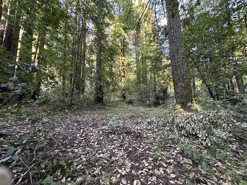 0 Logan Creek RD