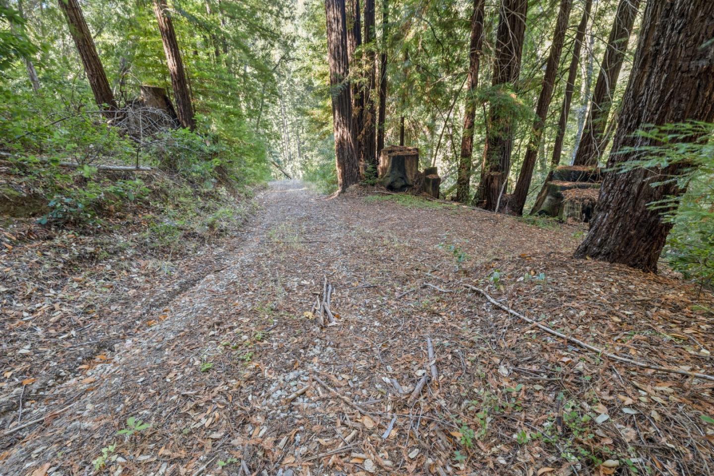 19900 Kings Creek RD