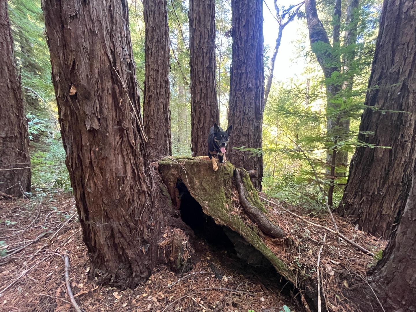 19900 Kings Creek RD