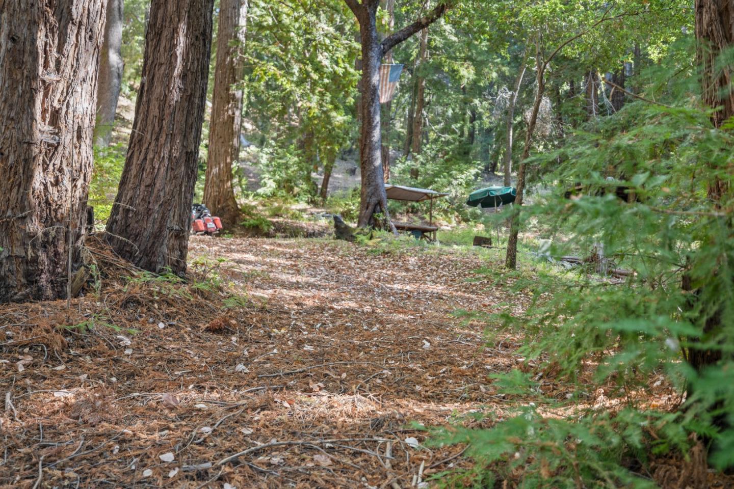 19900 Kings Creek RD