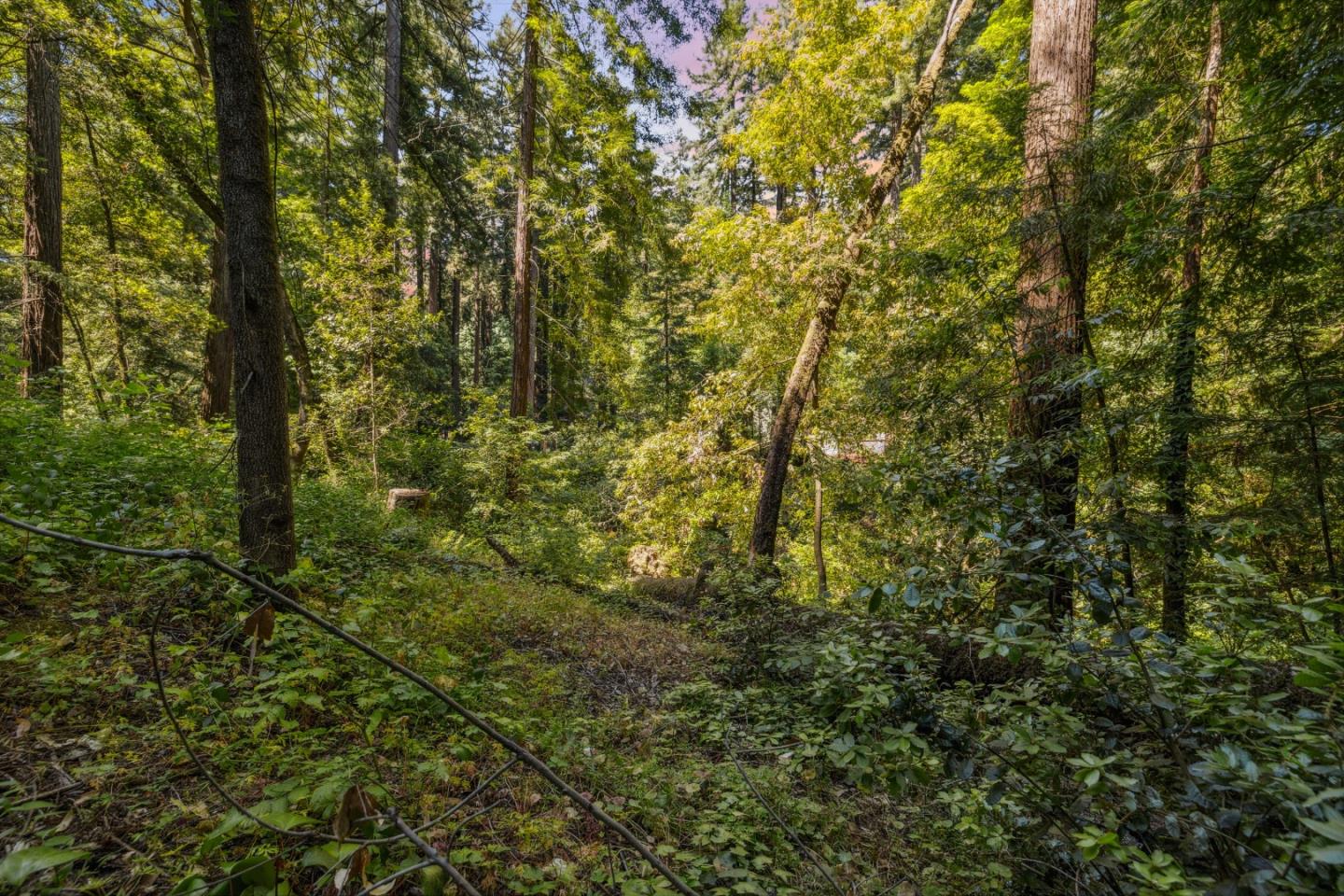 Lot 03 Hwy 9
