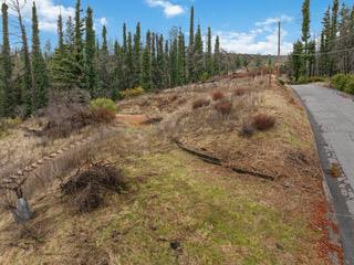1005 Pinecrest DR