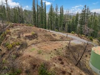 1005 Pinecrest DR