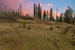 1005 Pinecrest DR
