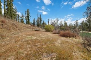 1005 Pinecrest DR