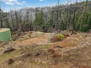 1005 Pinecrest DR