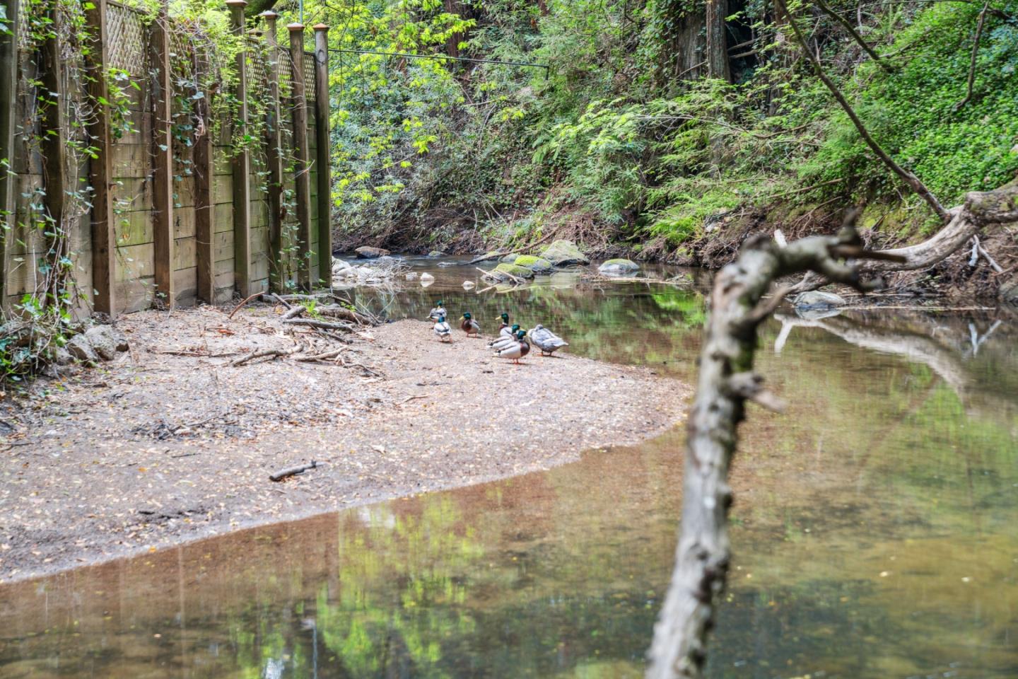 548 River RD