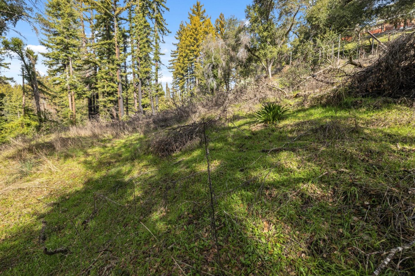 Lot 06 Coffeeberry DR