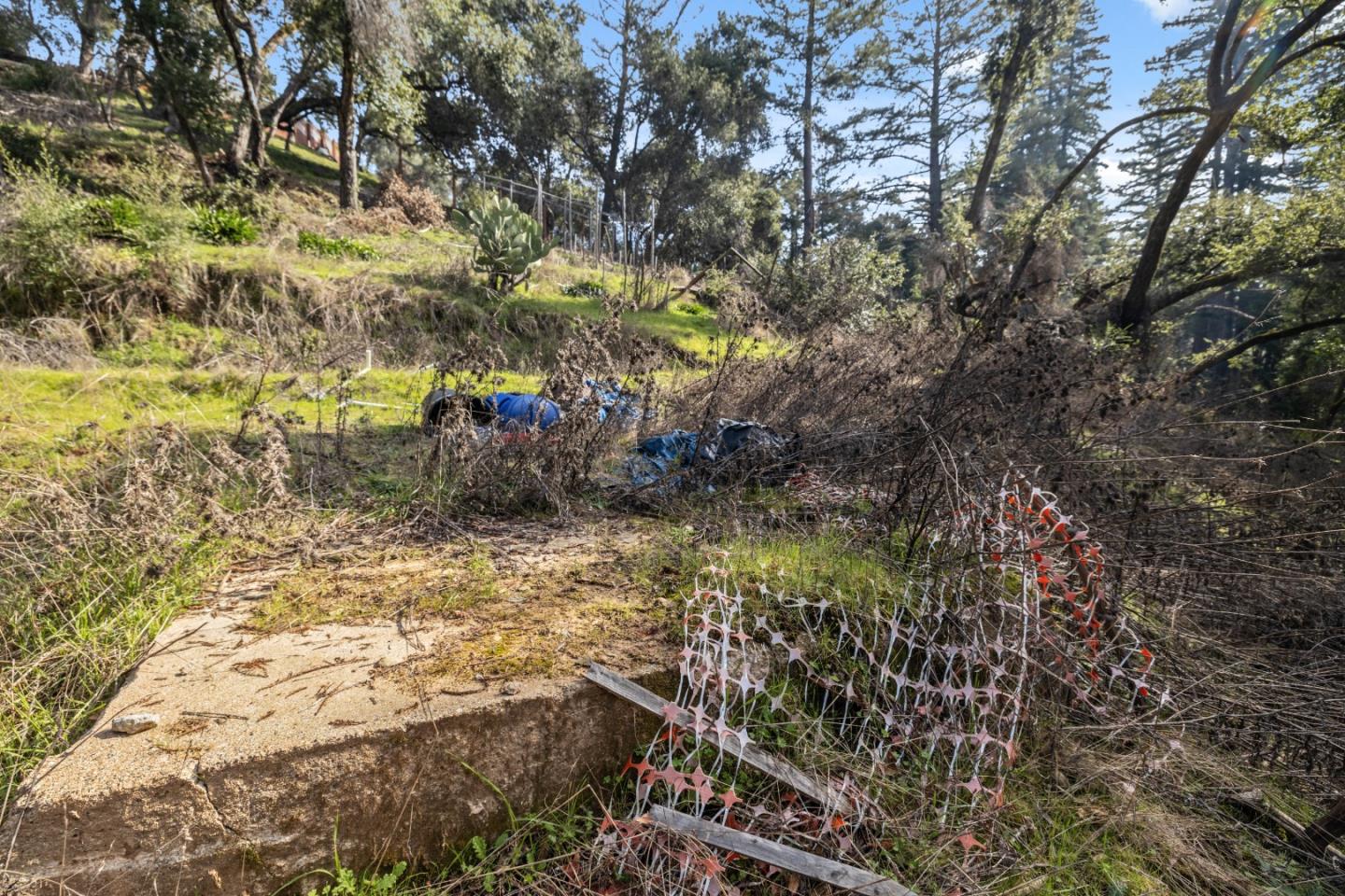 Lot 06 Coffeeberry DR